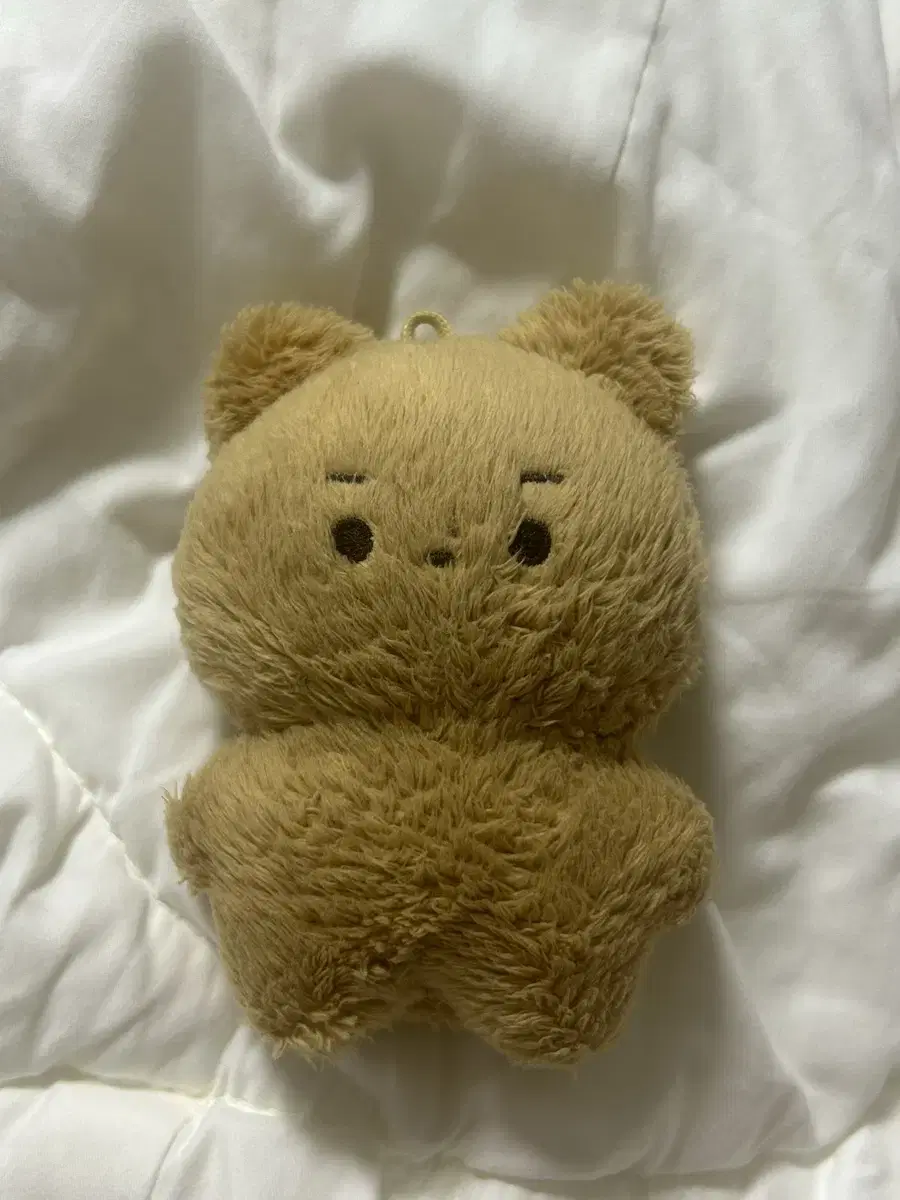 더보이즈 현재 인형 달곰이 달곰